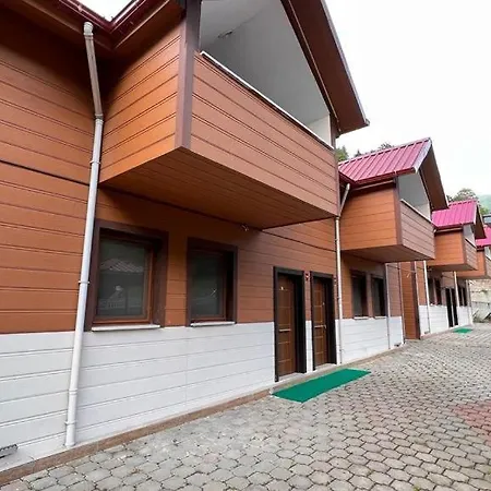 Bahar Uzungol